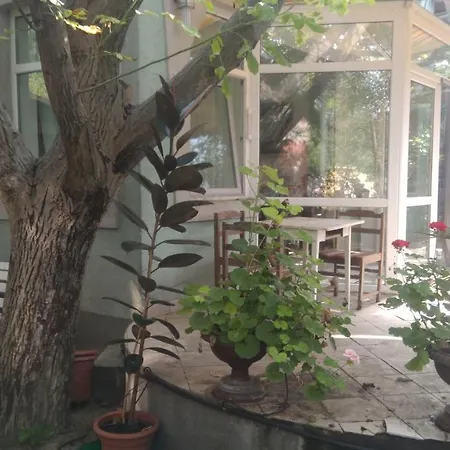 Subasa Garden *